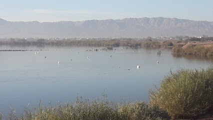 Sendero Ecológico de la Laguna México