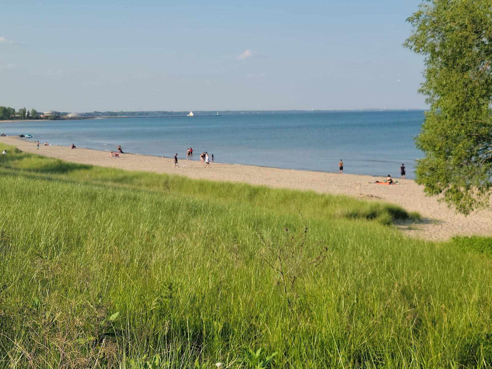 Photo de Red Arrow Beach avec un niveau de propreté de très propre