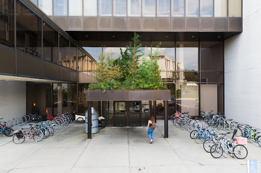 Minneapolis College of Art and Design