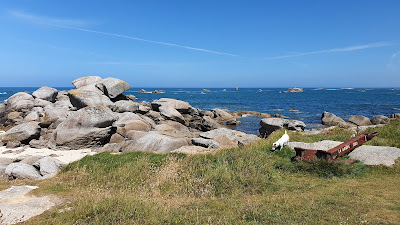 Canadian-Point à Plounéour-Brignogan-plages