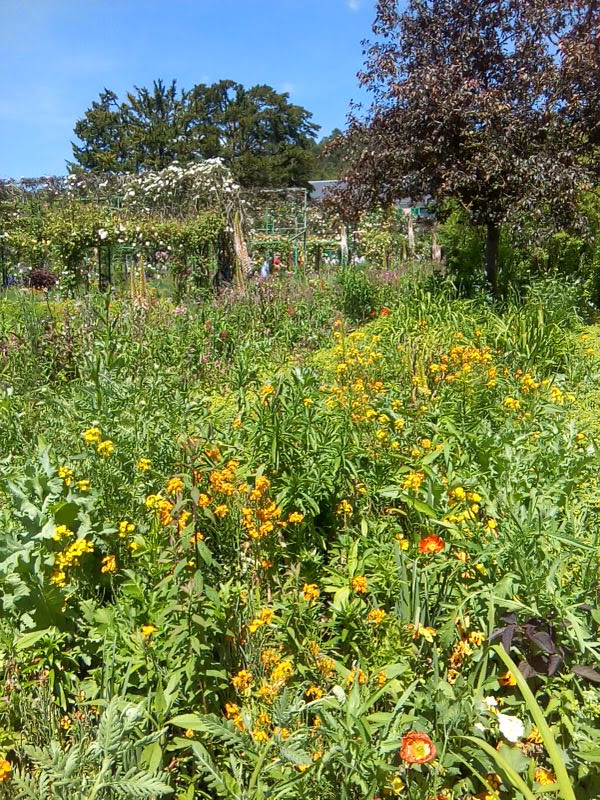 Photo n° 26 de l'avis de M. fait le 02/06/2019 à 08:14