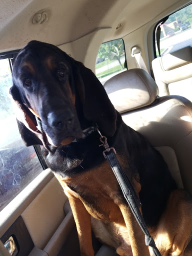 Pet Supply Store «Pet Supplies Plus», reviews and photos, 2649 E Grand River Ave, Howell, MI 48843, USA