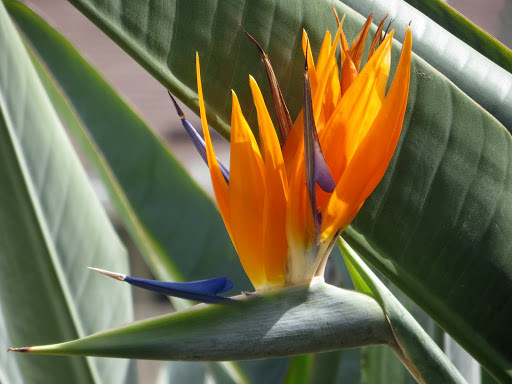 Park «Don Knabe Community Regional Park», reviews and photos, 19700 Bloomfield Ave, Cerritos, CA 90703, USA