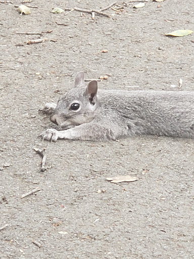 Park «Anderson River Park», reviews and photos