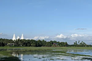 Puzhakkal Wetlands image