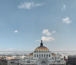 Finca Don Porfirio photo