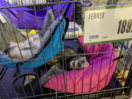 Pet Supply Store «Pet Supplies Plus», reviews and photos, 1380 W Lane Ave, Upper Arlington, OH 43221, USA