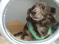 MarQueen Pet Emergency & Specialty - Photo 7 - Car repair in Upland, CA, Ontario