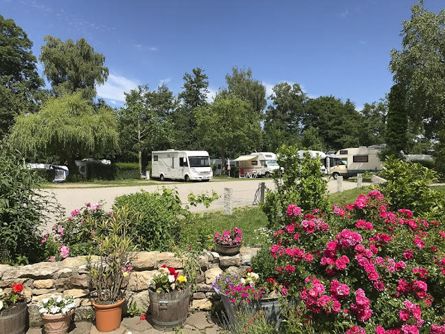Camping & Gästezimmer am Möslepark in Freiburg - Campingplatz
