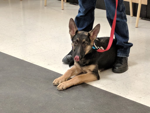 Pet Supply Store «PetSmart», reviews and photos, 1220 N Eagle Rd, Meridian, ID 83642, USA