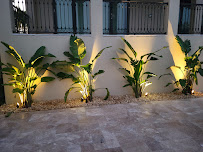 Ziggi's Landscaping LLC - Photo 4 - Car repair in Tampa, FL, Tampa