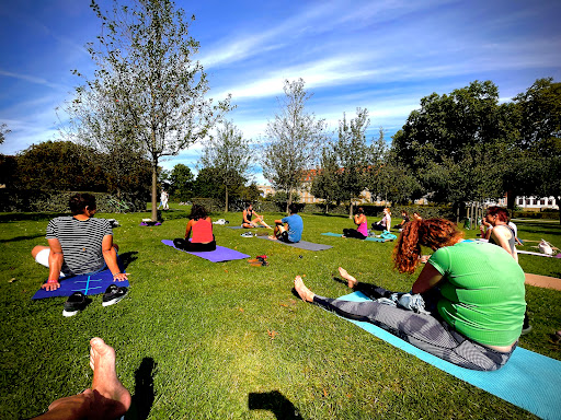 Yoga With Vico - Yoga in Copenhagen in Copenhagen, Frederiksberg