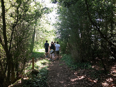 Pollet Daniel à Theizé