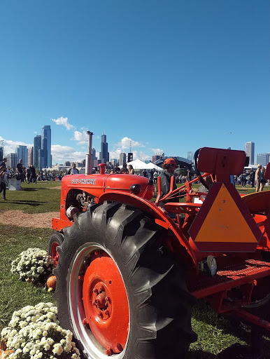 Amphitheater «Huntington Bank Pavilion at Northerly Island», reviews and photos, 1300 S Linn White Dr, Chicago, IL 60605, USA