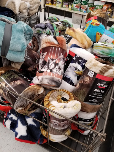 Discount Store «Big Lots», reviews and photos, 15501 Bustleton Ave, Philadelphia, PA 19116, USA