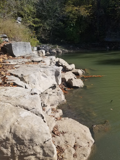 National Forest «Land Between the Lakes National Recreation Area», reviews and photos, 238 Visitor Center Dr, Golden Pond, KY 42211, USA