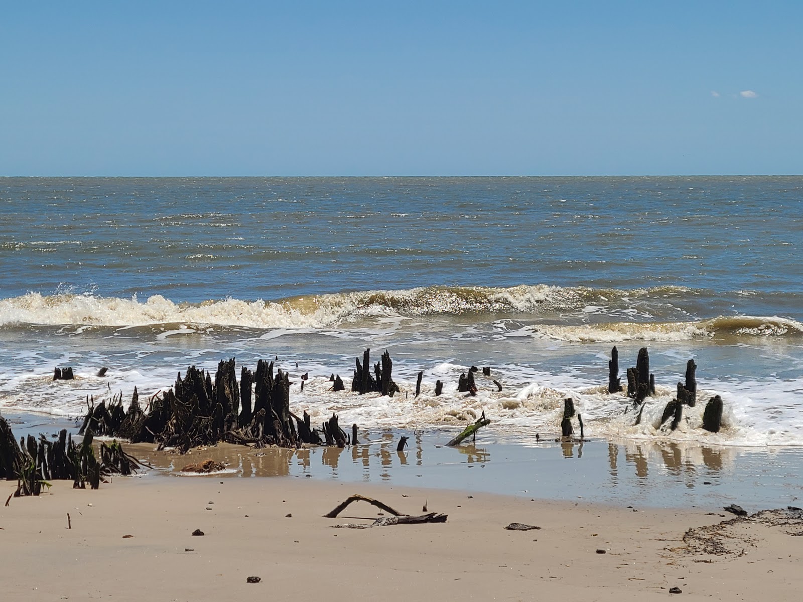 Foto von Daufuskie Island befindet sich in natürlicher umgebung
