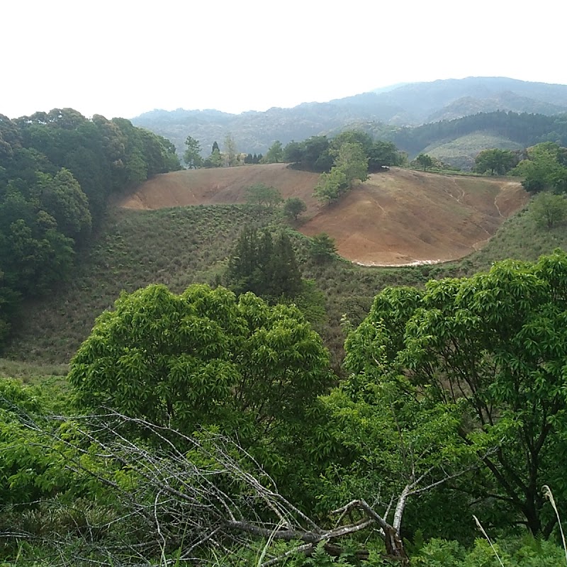 沖田黒豚牧場