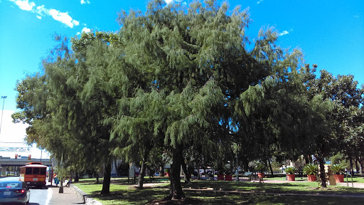 Park «Milam Park», reviews and photos, 500 W Commerce St, San Antonio, TX 78207, USA