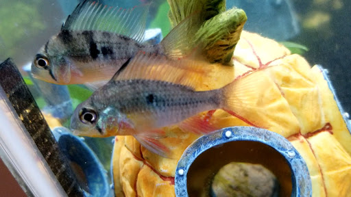 Pet Supply Store «Petco Animal Supplies», reviews and photos, 4345 U.S. 9, Freehold, NJ 07728, USA