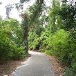 Blue Cypress Park