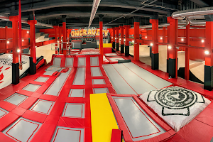 Ongravity X | Skate & Trampoline Park image