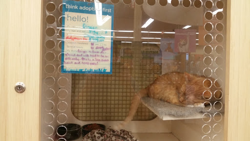 Pet Supply Store «Petco Animal Supplies», reviews and photos, 2640 W University Dr #1280, Denton, TX 76201, USA