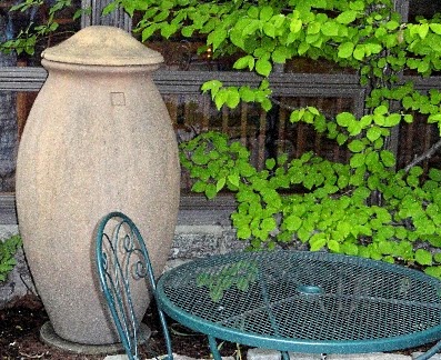 Restaurant «Lompoc Cafe», reviews and photos, 36 Rodick St, Bar Harbor, ME 04609, USA