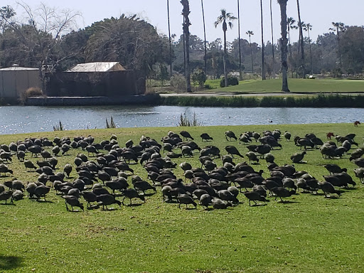 Resort «Morgan Run Club & Resort», reviews and photos, 5690 Cancha De Golf, Rancho Santa Fe, CA 92091, USA