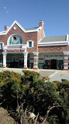 Home Goods Store «Christmas Tree Shops», reviews and photos, 65 Faunce Corner Rd, North Dartmouth, MA 02747, USA