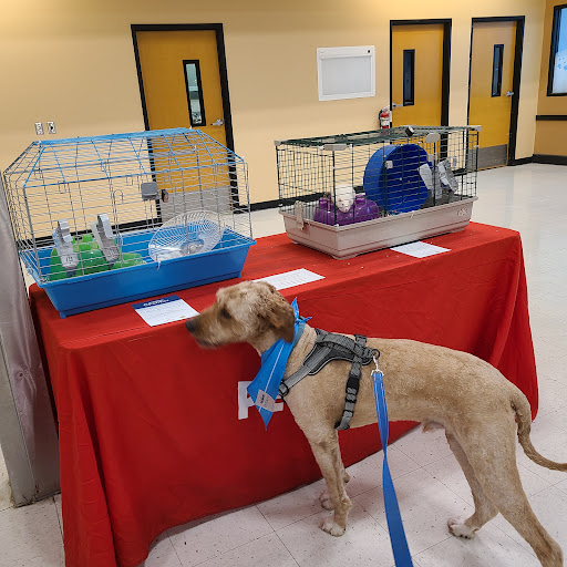 Pet Supply Store «PetSmart», reviews and photos, 3450 N Morrison Rd, Muncie, IN 47304, USA