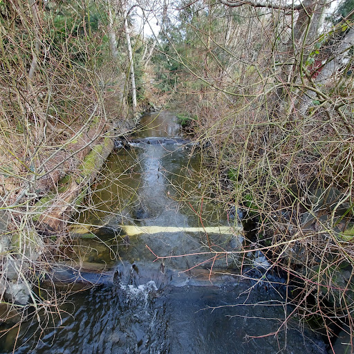 Conference Center «Des Moines Beach Park Auditorium», reviews and photos, 22030 Cliff Ave S, Des Moines, WA 98198, USA