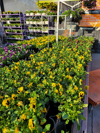 Home Improvement Store «The Home Depot», reviews and photos, 230 Oak Lee Dr, Ranson, WV 25438, USA