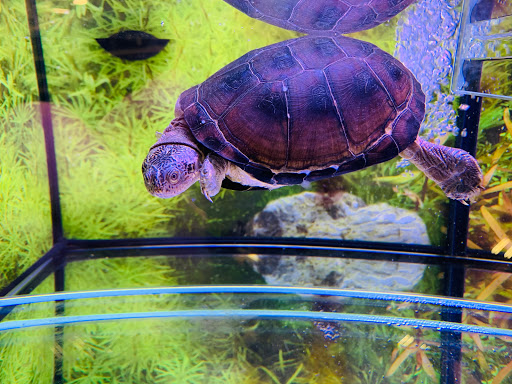 Pet Supply Store «PetSmart», reviews and photos, 934 W Street Rd, Warminster, PA 18974, USA