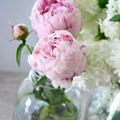 Florist «Peonia LLC», reviews and photos, 1550 Lemoine Ave, Fort Lee, NJ 07024, USA