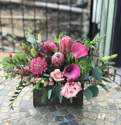 Florist «Park Florist», reviews and photos, 6921 Laurel Ave, Takoma Park, MD 20912, USA