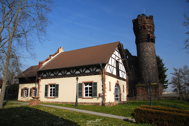 EBS Universität für Wirtschaft und Recht - Universität