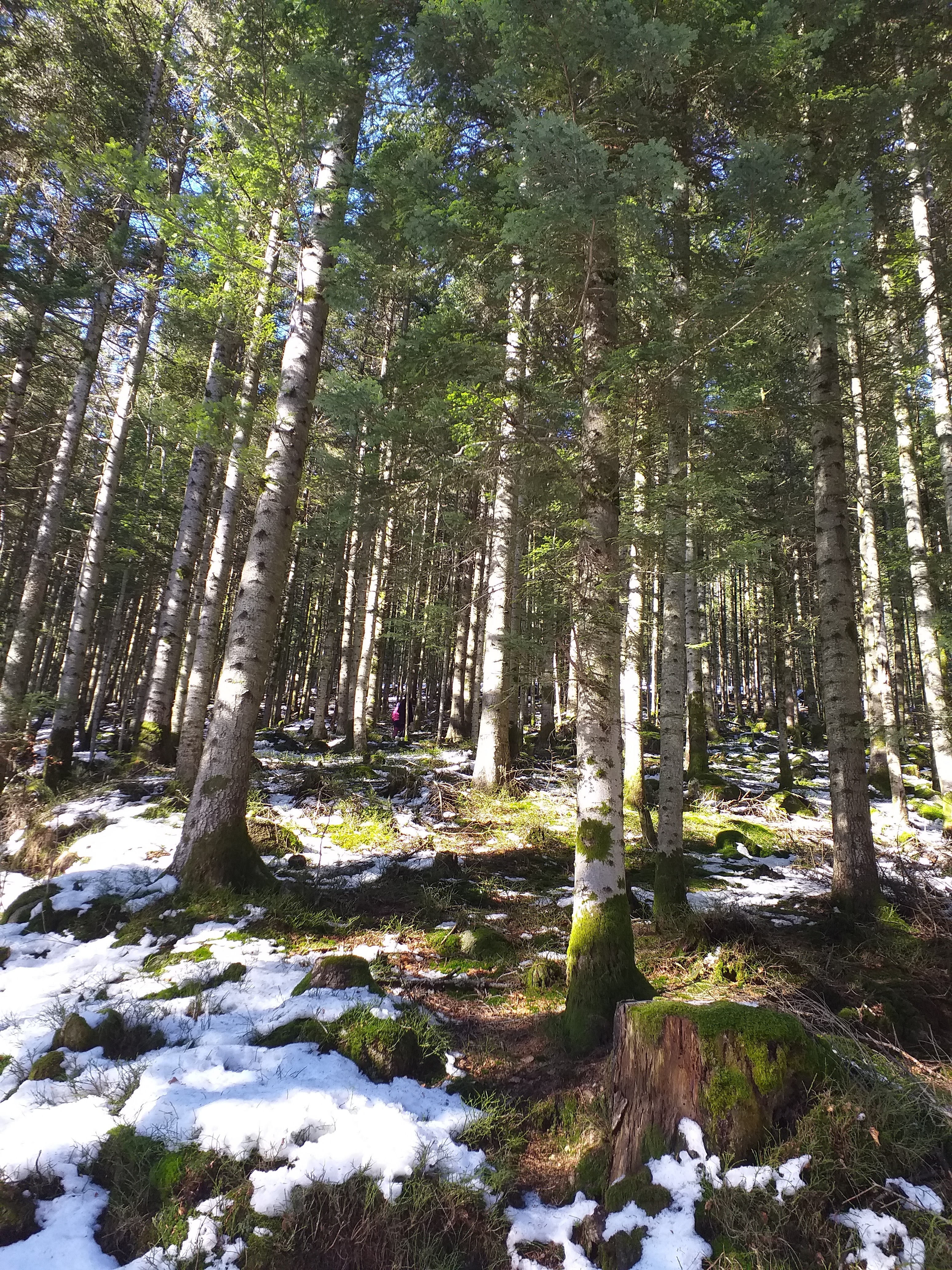 Photo n° 5 de l'avis de Marie.r fait le 19/02/2023 à 19:10