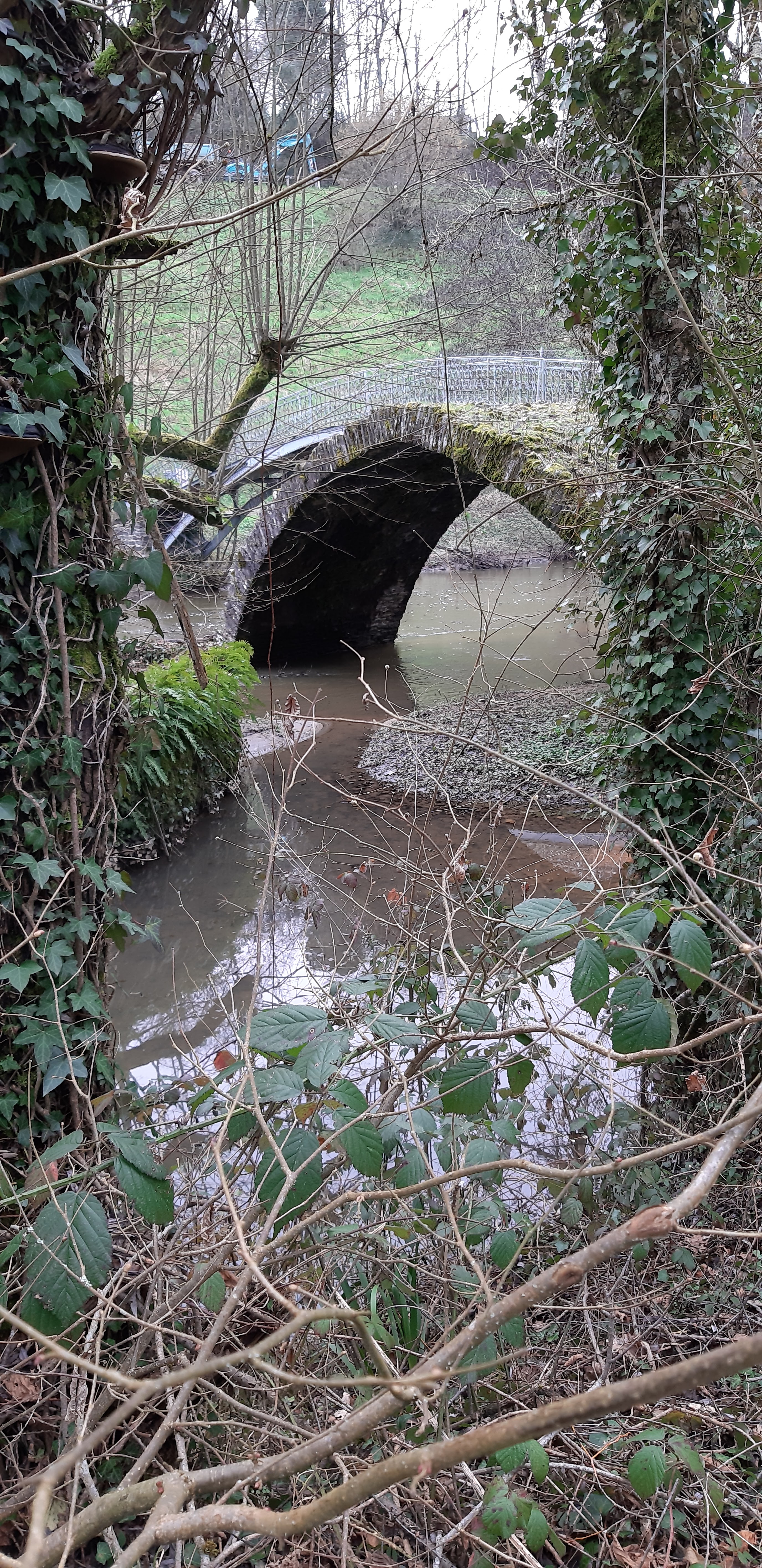 Photo n° 2 de l'avis de Richard.a fait le 11/02/2021 à 16:42