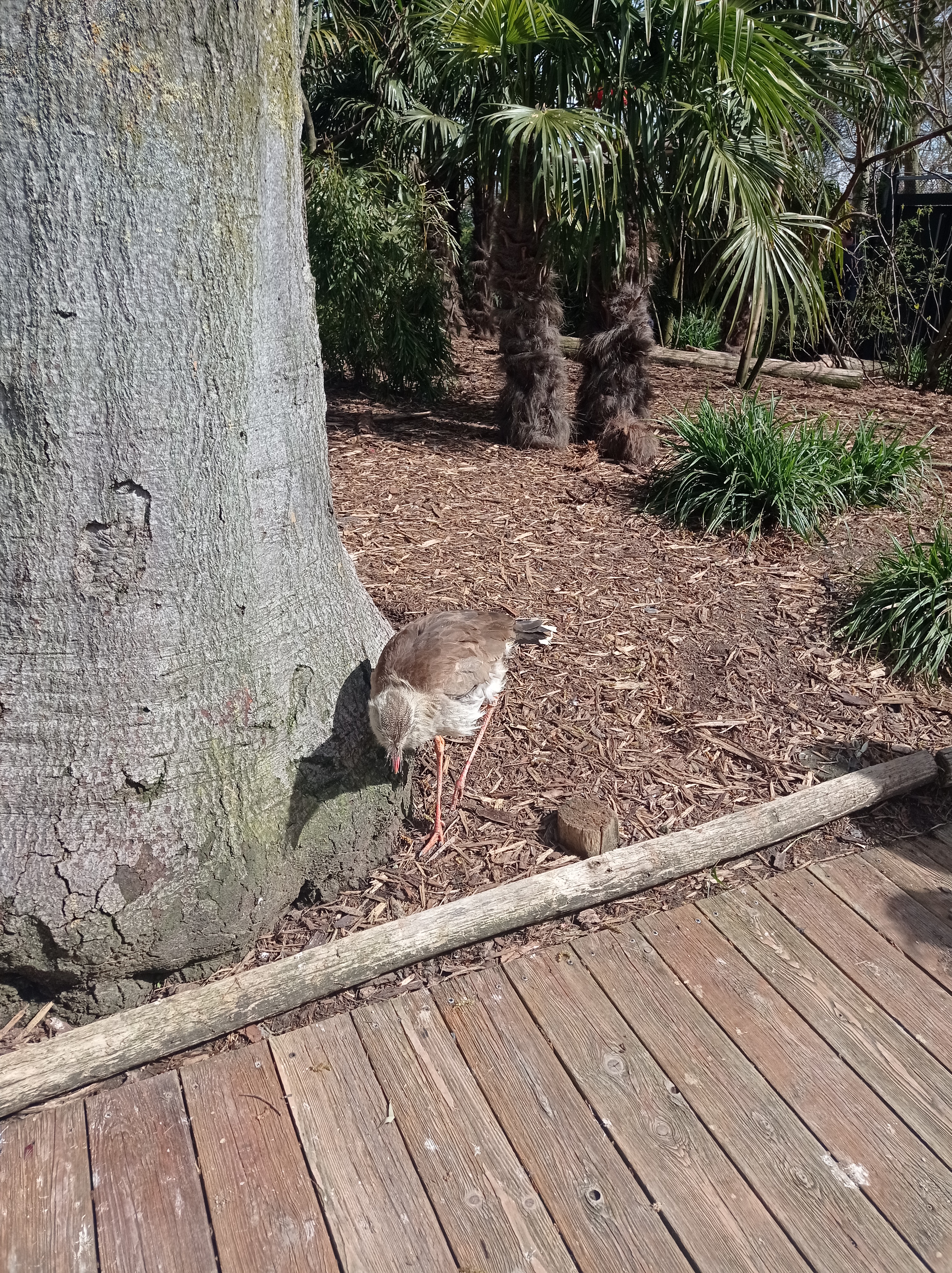 Photo n° 4 de l'avis de Artemis. fait le 16/04/2023 à 12:48