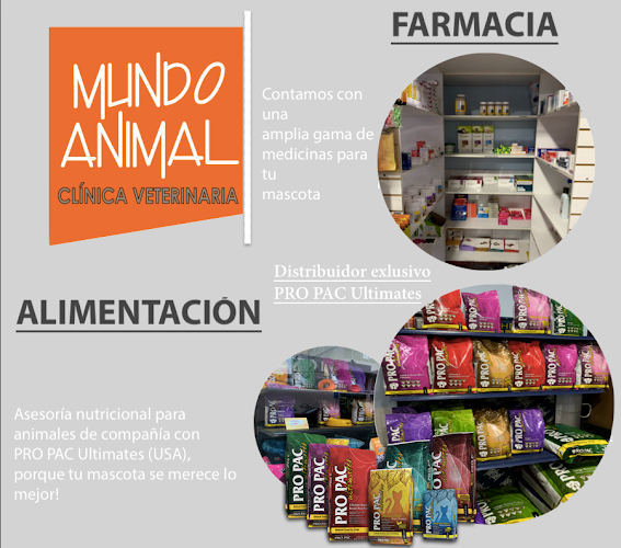 Clínica Veterinaria Mundo Animal - Veterinario