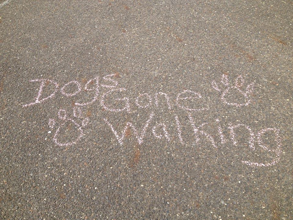 Dogs Gone Walking LLC