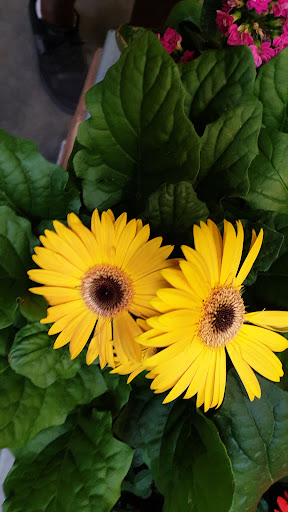 Home Improvement Store «The Home Depot», reviews and photos, 7200 W Colfax Ave, Lakewood, CO 80214, USA