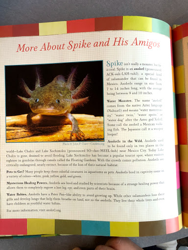 Recreation Center «Rosedale Recreation Center», reviews and photos, 1701 Gales St NE, Washington, DC 20002, USA