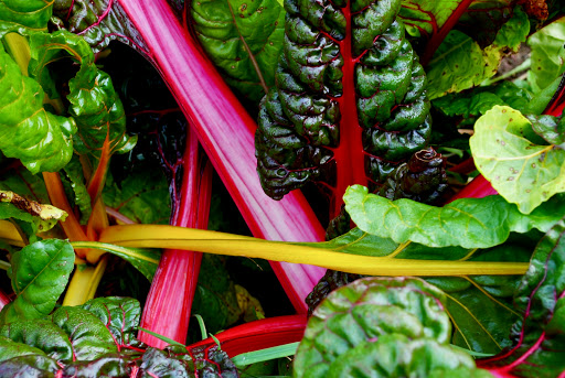 Health Food Store «Common Crow Natural Market», reviews and photos, 200 Eastern Ave, Gloucester, MA 01930, USA