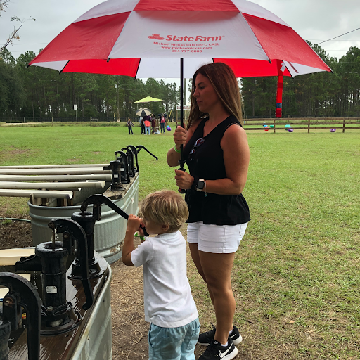 Insurance Agency «Michael Nickas - State Farm Insurance Agent», reviews and photos