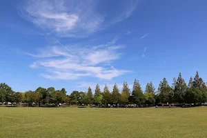 Misono Central Park image
