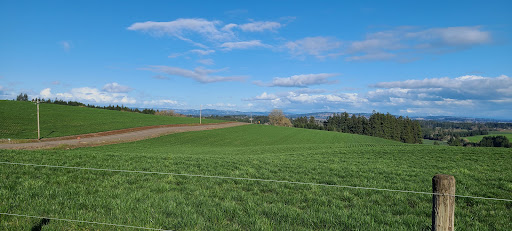 Winery «Ardiri Winery & Vineyards», reviews and photos, 35040 Southwest Unger Road, Cornelius, OR 97113, USA