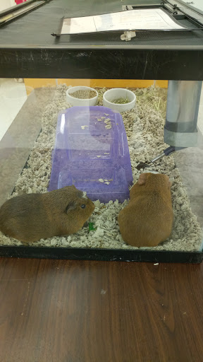 Pet Supply Store «Petco Animal Supplies», reviews and photos, 125 Lincoln Hwy, Exton, PA 19341, USA