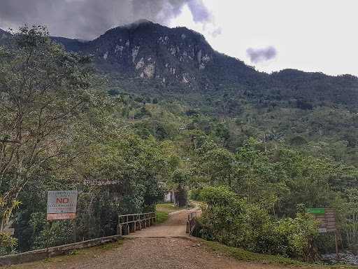 Peñas blancas